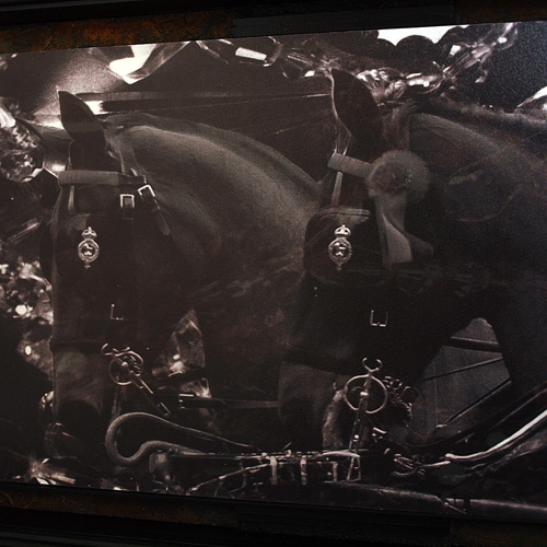 Two Horses�iPip and Herbert)